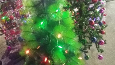 تعرف على أسعار أشجار الكريسماس بالقليوبية