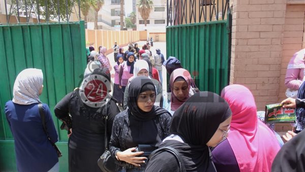 القاهرة 24