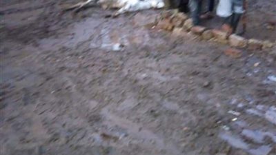 بسبب الأمطار في المنوفية.. نفوق حمار صعقاً والعناية الألهية تنٌقذ صاحبه