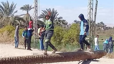 بدلًا من “جذع النخلة”.. إنشاء كوبري مشاة لعبور الطلاب بمدارسهم شرق الأقصر