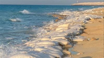 وزير الري الأسبق: تكليف مكتب استشاري دولي لحل نحر شواطئ الساحل الشمالي