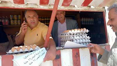 بأسعار مخفضة.. الزراعة: إطلاق منافذ بيع متحركة محملة بكراتين بيض إلى المحافظات 