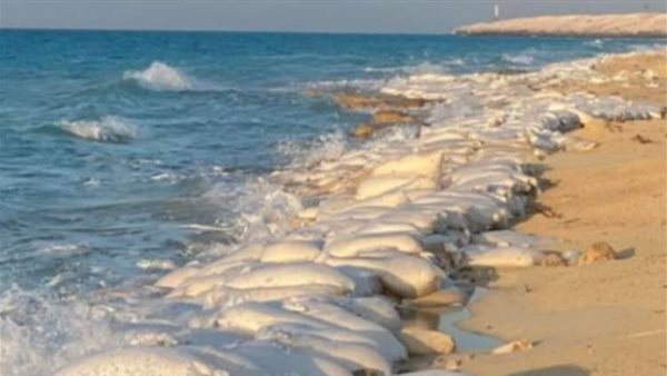 نحر الشواطئ