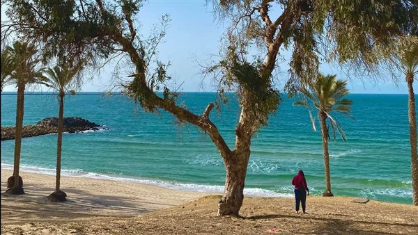 طقس شمال سيناء