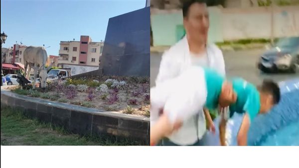 حي المناخ بـ محافظة