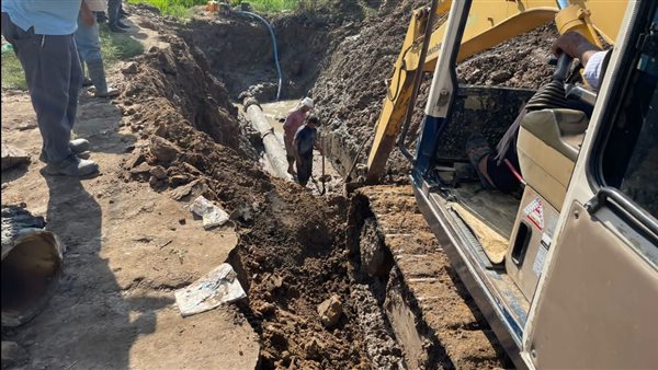 احلال وتجديد شبكات