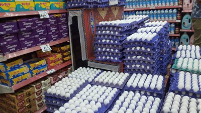 التموين: طرح 20 ألف طبق بيض يوميًا بالمجمعات الاستهلاكية