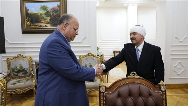 محافظ القاهرة يستقبل