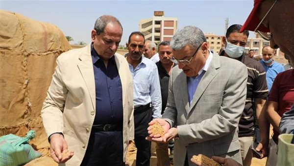 محافظة المنيا