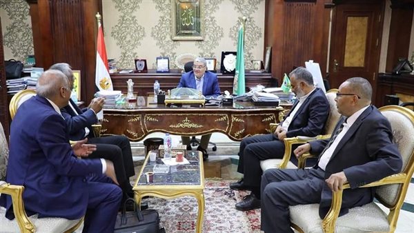 محافظ المنيا 