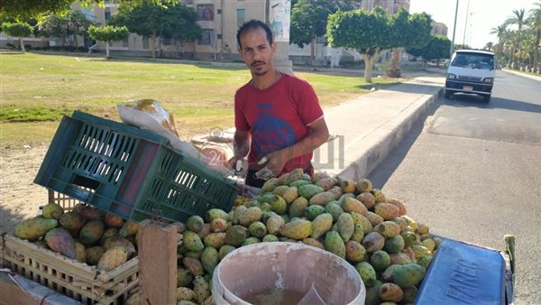 ياسر محمد بائع تين