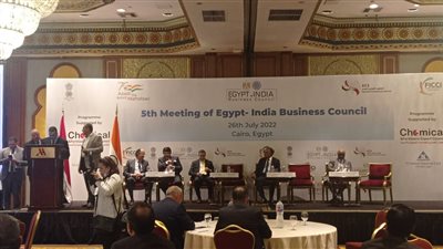 مجلس الأعمال المصري الهندي: نستهدف زيادة حجم التبادل التجاري إلى 3 مليارات دولار