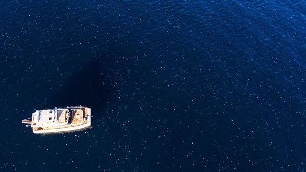 قناديل البحر تحاصر