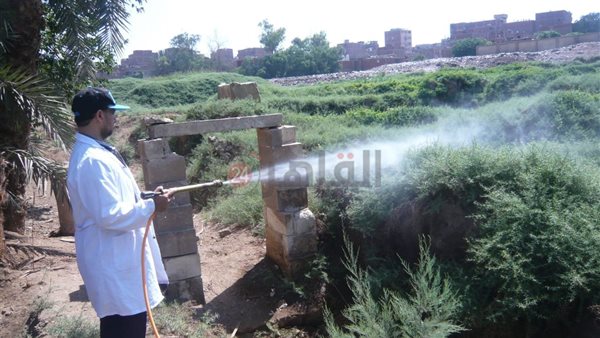 إزالة الحشائش بمعبد