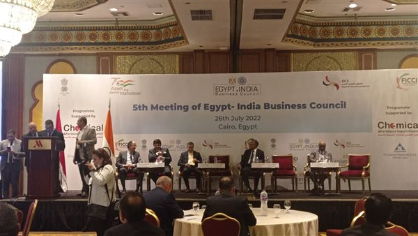 مجلس الأعمال المصري