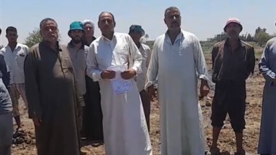 القمح كان سنابل.. مزارعون بالشرقية يستغيثون: الترعة اتردمت وبورت 70 فدانًا | بث مباشر