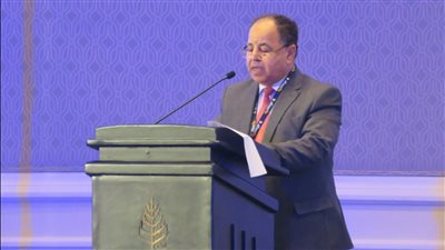 أول تعليق من وزير المالية على توصيات صندوق النقد الدولي للحصول على قرض جديد
