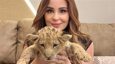 كارول سماحة عن إهداء حديقة الحيوان شبلًا بعيد ميلادها: مش حقيقي ويعيش حاليا في السيرك القومي