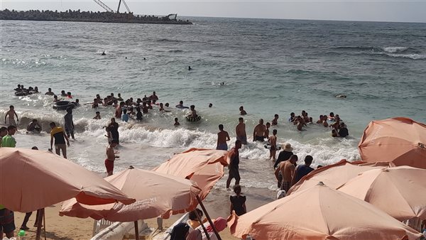 شواطئ الإسكندرية