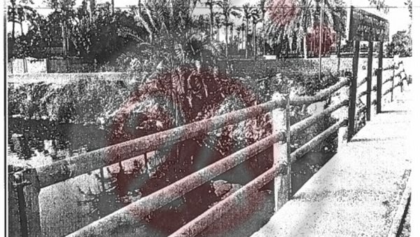 القاضي القاتل يرشد