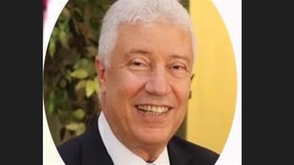 المستشار محمد بكر