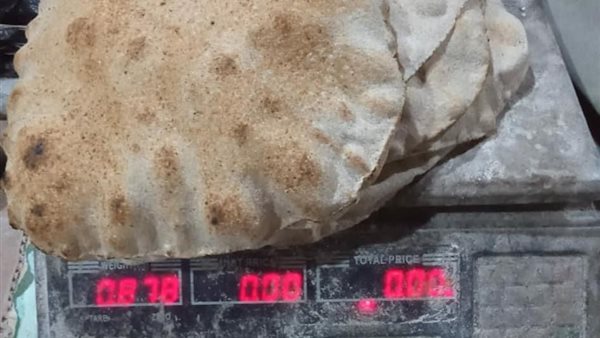 جانب من الحملة 