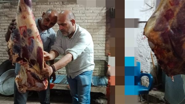 جانب من الحملات