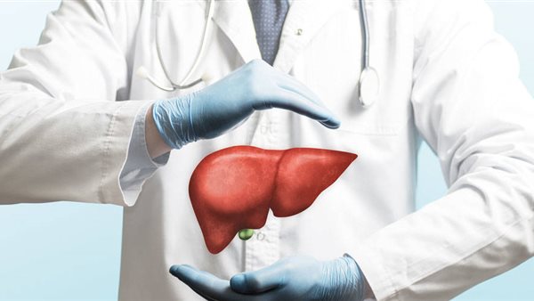 الكبد -أرشيفية