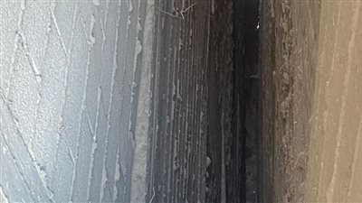 ثعبان يثير الذعر ويهدد سكان 3 عقارات فى الإسكندرية | فيديو