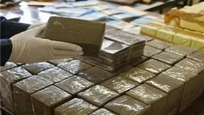 القبض على 5 أشخاص لاتجارهم بمخدر الحشيش في كفر الشيخ 