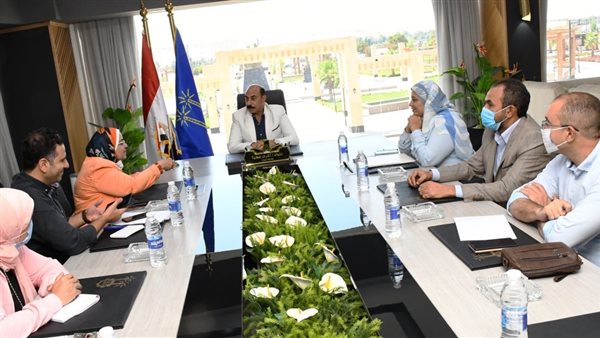 محافظ أسوان