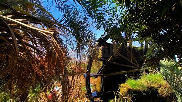 الفيوم.. تصوير: إيمان