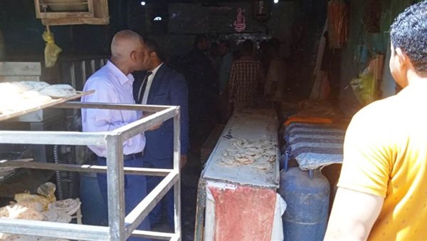 حملة تفتشية بأسوان