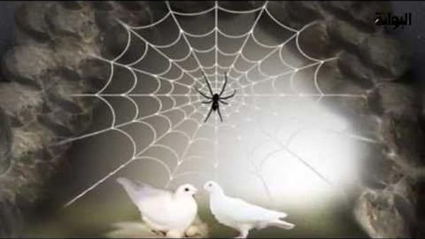 العنكبوت والحمامتين