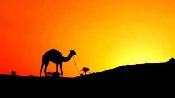 هجرة النبي- أرشيفية