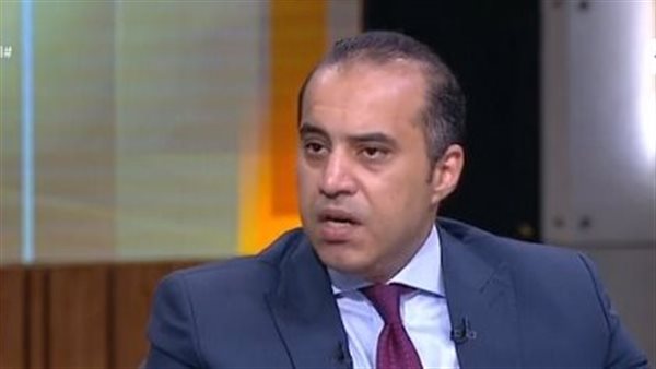 المستشار محمود فوزي