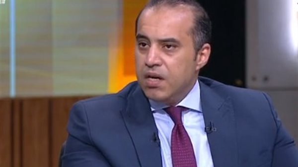 المستشار محمود فوزي