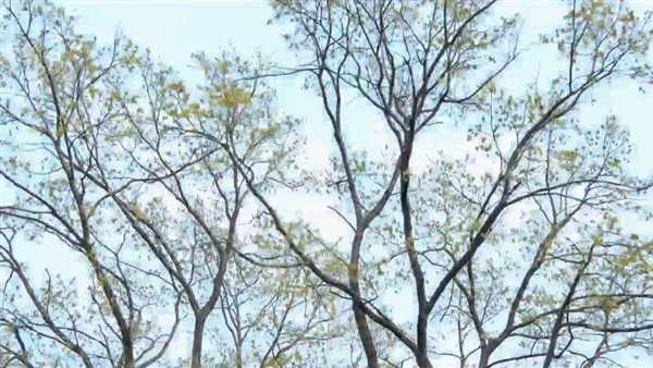  التغيرات المناخية