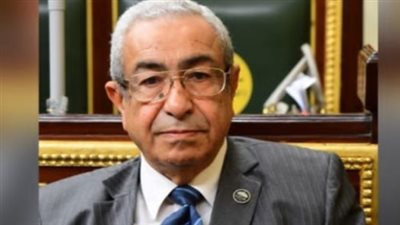 ممثل الأرثوذوكس يكشف حقيقة إقرار قانون بأحقيقة التبني بين المسيحيين