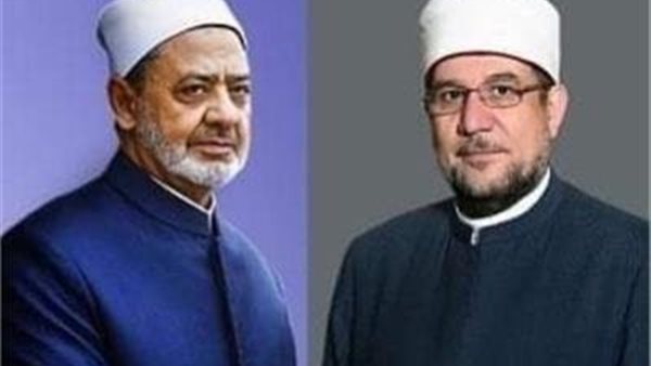 شيخ الأزهر ووزير
