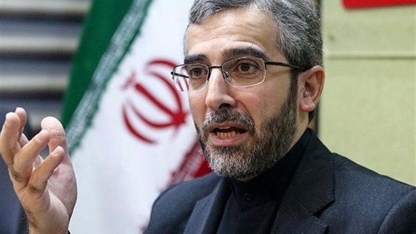 كبير المفاوضين الإيرانيين