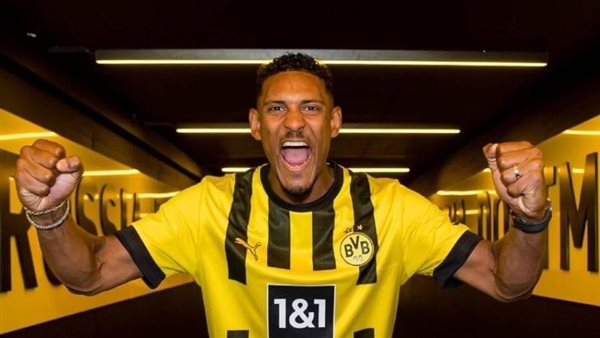 سباستيان هالير 