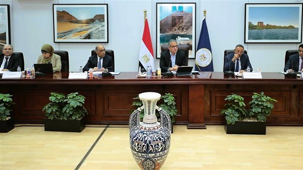 العناني يترأس أولى