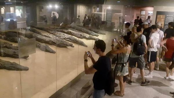  متحف التمساح بكوم