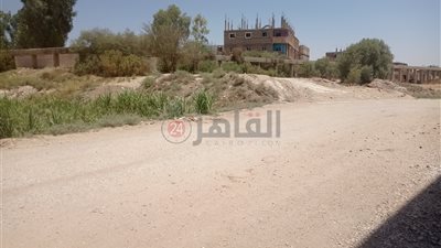 قتل 5 من أفراد أسرته.. إحالة منفذ مذبحة أبو مناع بقنا وخاله إلى الجنايات