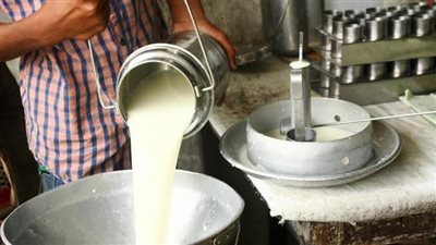 رئيس شعبة الألبان: الإنتاج متوفر وهناك استقرار في الأسعار رغم قلة القوة الشرائية 