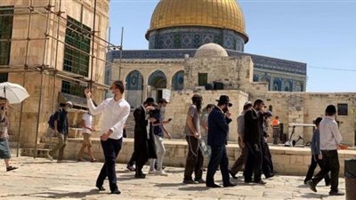 اليوم.. دعوات لاقتحامات واسعة وأداء طقوس تلمودية في باحات المسجد الأقصى