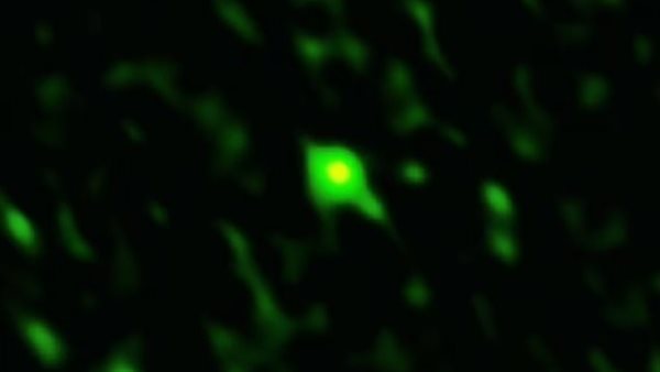 وميض ناتج عن تصادم