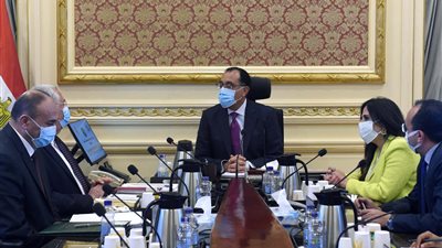 وزير الزراعة: زيادة عددية في حجم الثروة الحيوانية بحوالي مليون رأس