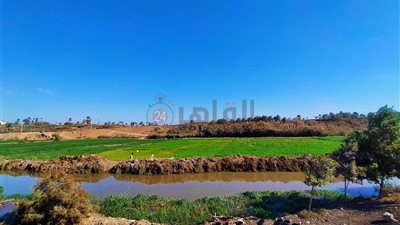 تحسن نسبي في درجات الحرارة بالفيوم.. والعُظمى تسجل 35 مئوية